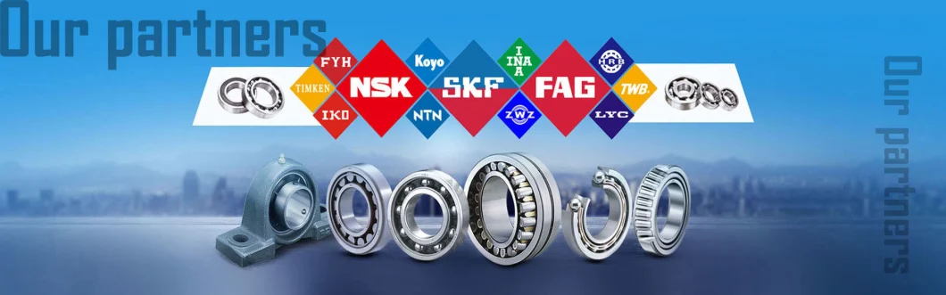 High Quality Fak Self-Aligning Ball Bearing 23040